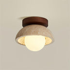 Compacte Plafondlamp Voor Moderne Interieurs