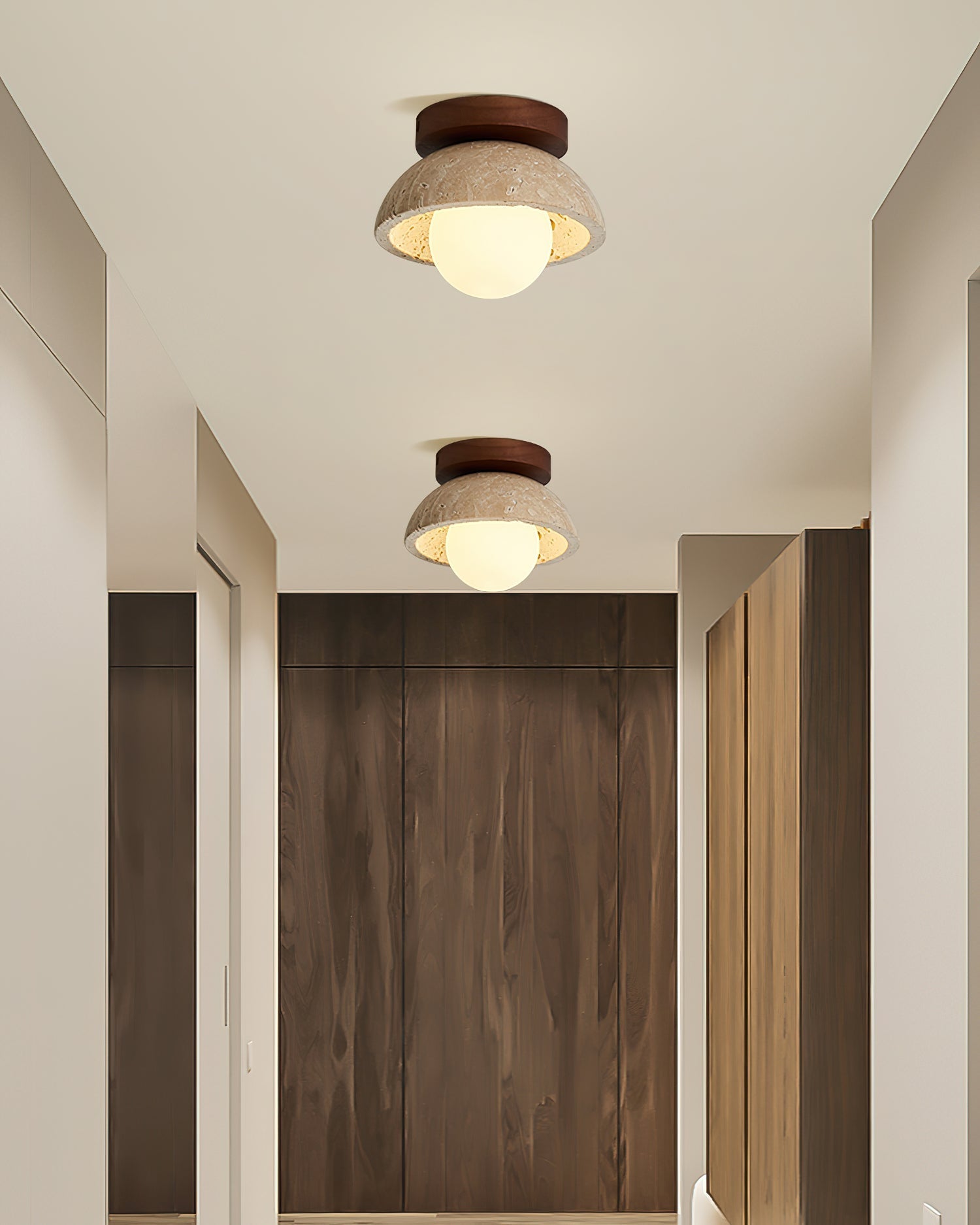 Compacte Plafondlamp Voor Moderne Interieurs