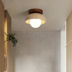 Compacte Plafondlamp Voor Moderne Interieurs
