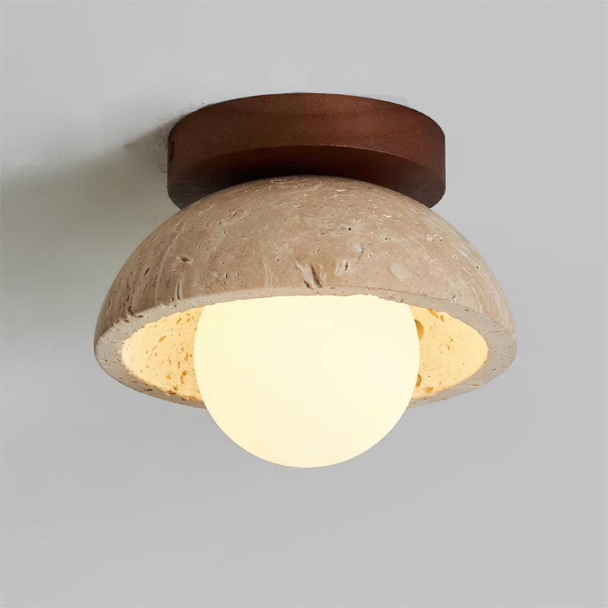 Compacte Plafondlamp Voor Moderne Interieurs