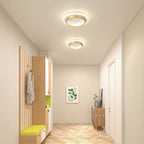 Plafondlamp met vlakke ronde diffuser ontwerp