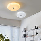 Plafondlamp Met Art Deco Vorm En Ingebouwde LED Voor Warme Sfeerverlichting