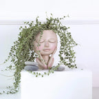 Hangende Bloempot Met Transparant Bolontwerp Voor Decoratieve Plantpresentatie