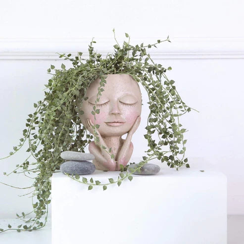 Hangende Bloempot Met Transparant Bolontwerp Voor Decoratieve Plantpresentatie