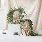 Hangende Bloempot Met Transparant Bolontwerp Voor Decoratieve Plantpresentatie