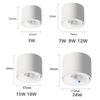Plafondspot Met 360° Draaibare Lichtkop Voor Gerichte En Moderne Verlichting