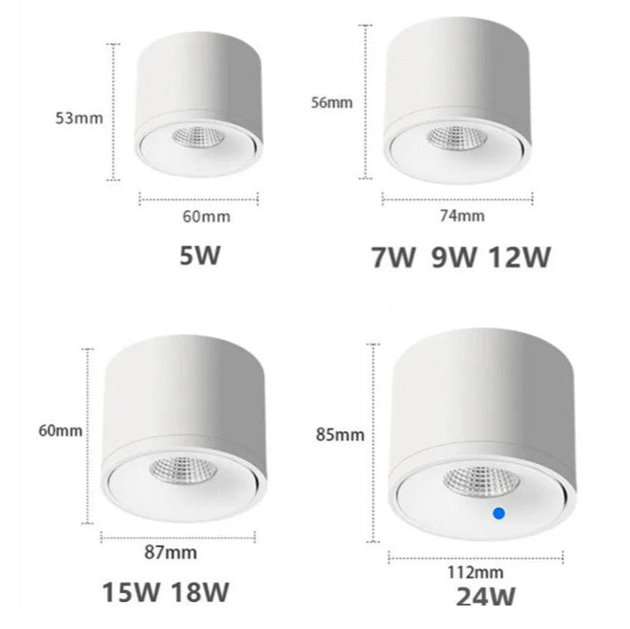 Plafondspot Met 360° Draaibare Lichtkop Voor Gerichte En Moderne Verlichting