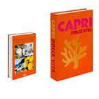 Decoratieve Boeken met Modern Ontwerp en Compact Formaat