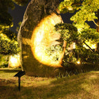 Solar‑Spotlamp met Verstelbare Lichtbundel en Moderne Buitenverlichting