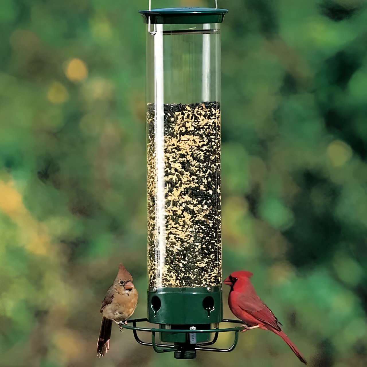 Vogelvoeder met Gewichtsgestuurde Perch