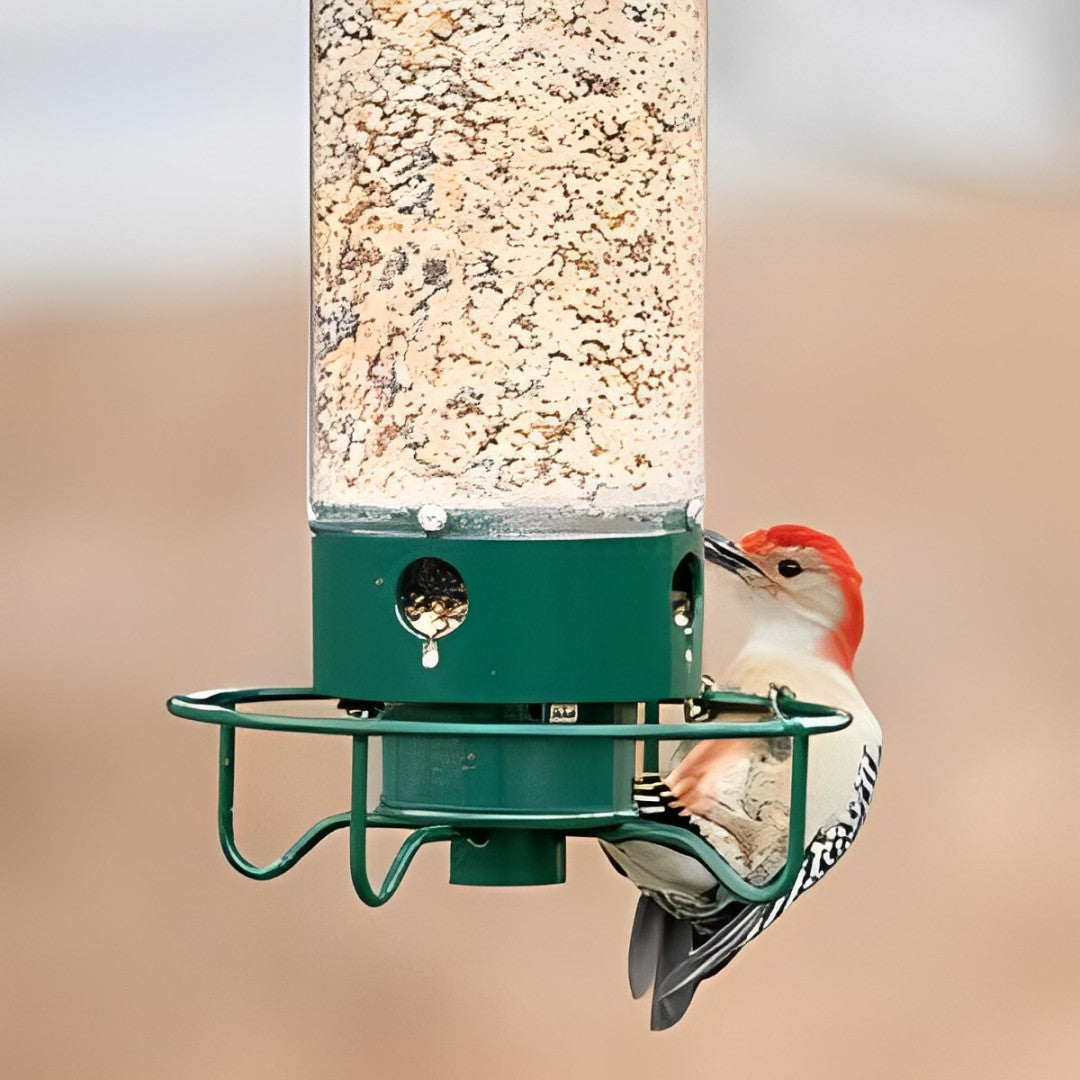 Vogelvoeder met Gewichtsgestuurde Perch
