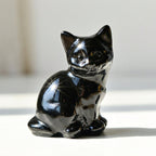 Handgesneden Obsidiaankat met Natuurlijke Steenstructuur