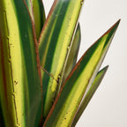 Metalen Agave‑Ornament met Solar Verlichting voor Sfeervolle Buitenaccenten