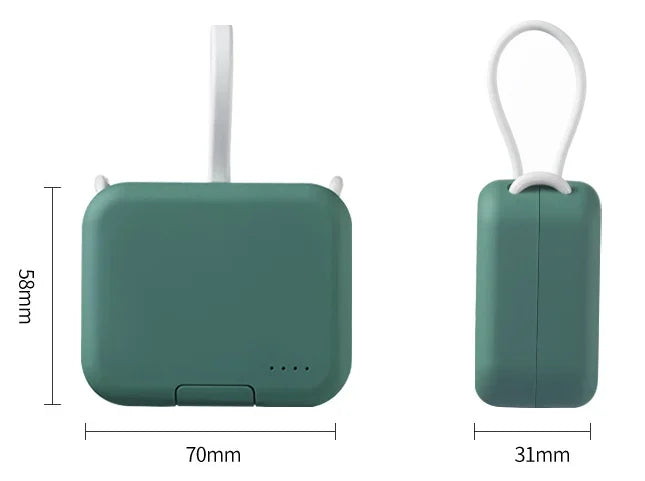 Draagbare Accu met Snellaadfunctie en Compact Ontwerp