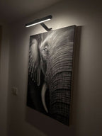 Draadloze LED‑Wandlamp met 360° Verstelbare Kop voor Kunstpresentatie