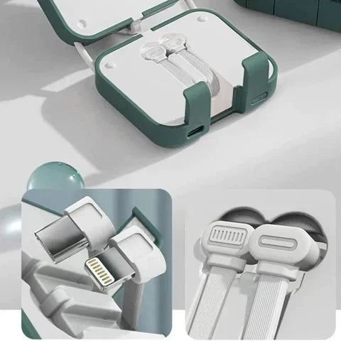 Draagbare Accu met Snellaadfunctie en Compact Ontwerp