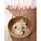 Gevlochten Kattenmand Met Uitneembaar Pluche Kussen