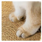 Gevlochten Kattenmand Met Uitneembaar Pluche Kussen