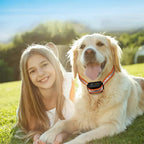 Elektrische Honden Trainingshalsband Met Bereik Van 1000m En Meerdere Modi
