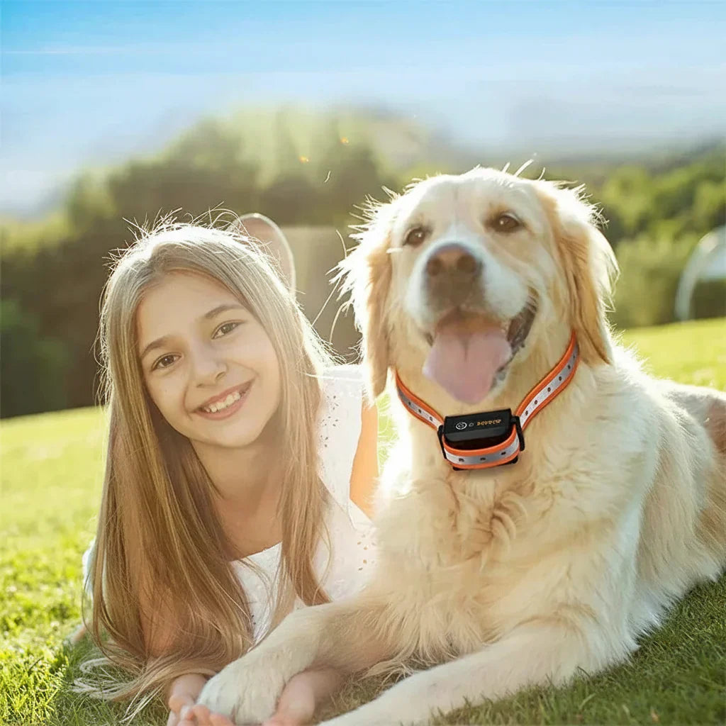 Elektrische Honden Trainingshalsband Met Bereik Van 1000m En Meerdere Modi