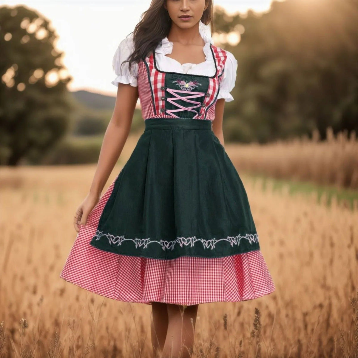 Dirndl Jurk Met Geruit Ontwerp En Traditioneel Schort