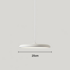 Scandinavische Hanglamp met LED‑Techniek en Minimalistisch Metaal‑Acryl Ontwerp
