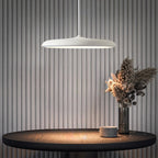 Scandinavische Hanglamp met LED‑Techniek en Minimalistisch Metaal‑Acryl Ontwerp