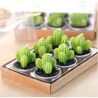 Mini Cactus Kaarsen Set Voor Decoratieve Accenten En Gezellige Sfeer