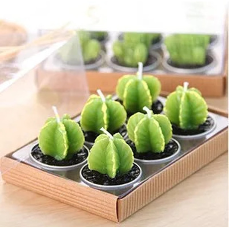 Mini Cactus Kaarsen Set Voor Decoratieve Accenten En Gezellige Sfeer