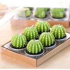 Mini Cactus Kaarsen Set Voor Decoratieve Accenten En Gezellige Sfeer