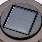 Decoratieve Solar Lantaarn Met Kleurrijk Bloemenpatroon Voor Buiten