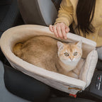 Katten Autostoel Voor Comfortabele Rit En Veilige Consolebevestiging