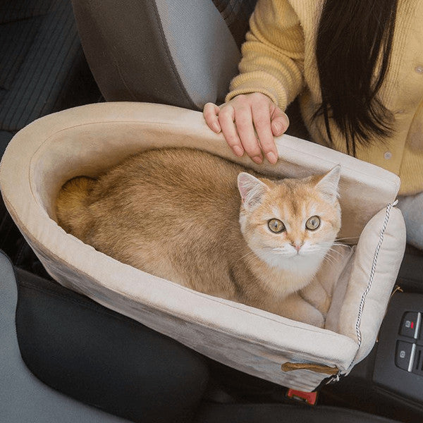 Katten Autostoel Voor Comfortabele Rit En Veilige Consolebevestiging