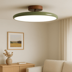 Verstelbare LED Plafondlamp Met Modern Ontwerp En Warm Licht