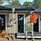 Levensgroot Skeletdecor Met Beweegbare Gewrichten Voor Opvallende Halloween Decoraties