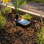 Zonne Tuinlamp Met Warme Sfeergloed