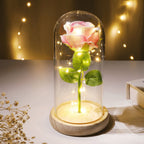 Glazen Rozenlamp Met LED Licht In Koepel