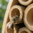 Handgevlochten Wildbijenhuis met Natuurlijke Bamboestructuur