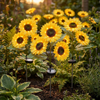 Solar Tuinlamp met Zonnebloemdesign en Automatische Sfeerverlichting