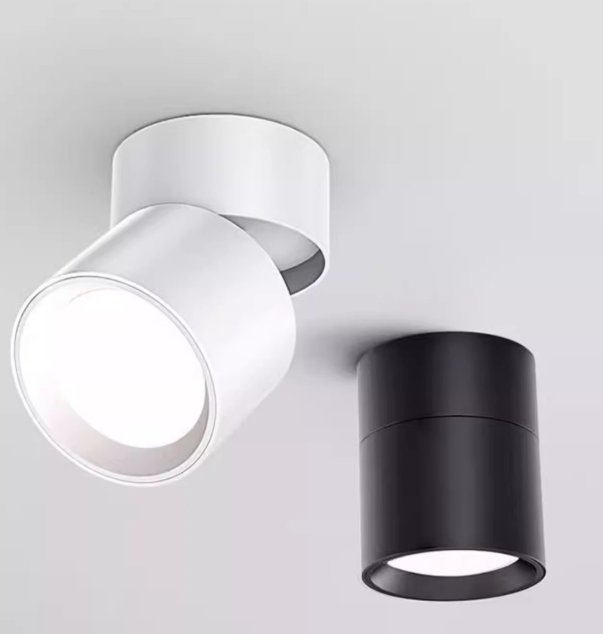Verstelbare LED Opbouwspot van Aluminium met Dimbare Verlichting