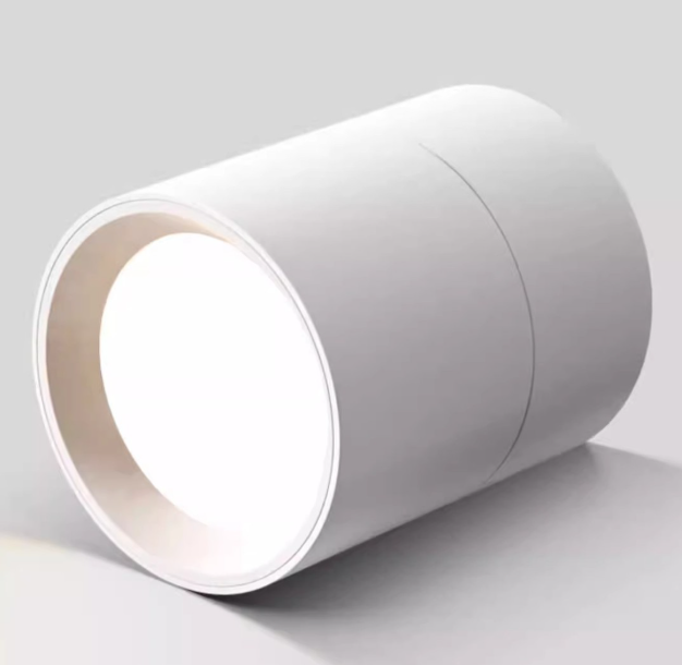 Verstelbare LED Opbouwspot van Aluminium met Dimbare Verlichting