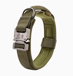 Stevige Hondenhalsband met Verstelbare Pasvorm en Comfortabele Voering