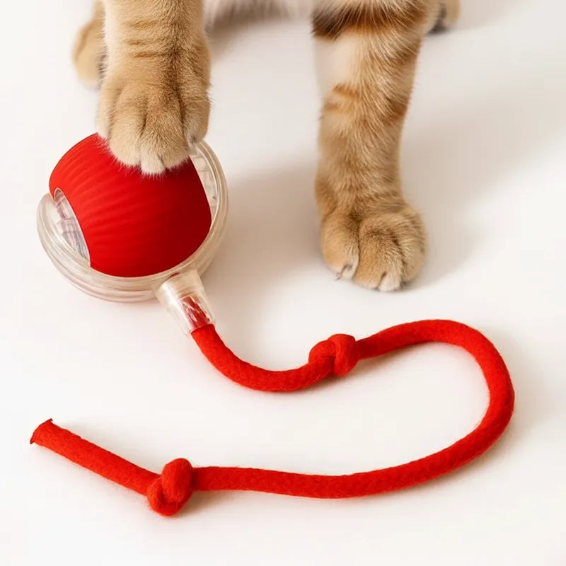 Katten Speelbal Met Automatische Beweging