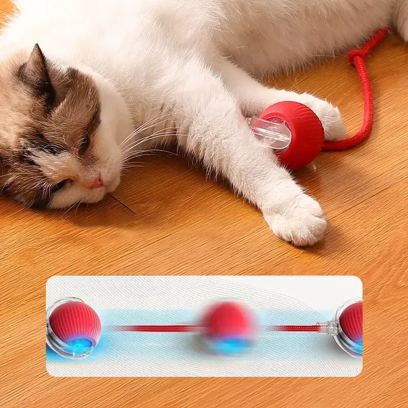 Katten Speelbal Met Automatische Beweging