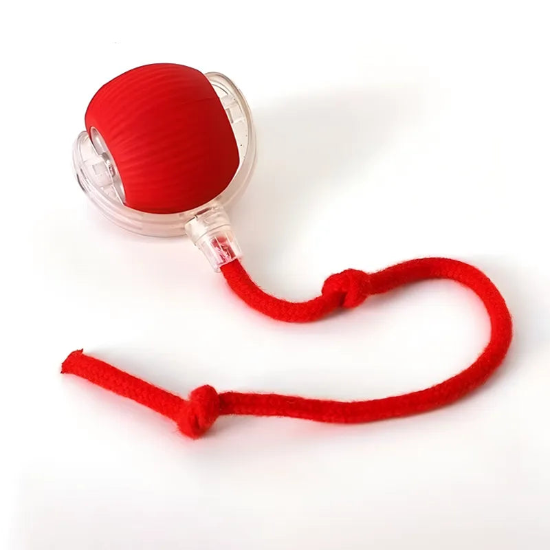 Katten Speelbal Met Automatische Beweging