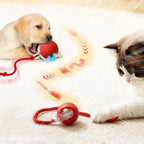 Katten Speelbal Met Automatische Beweging
