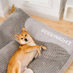 Orthopedisch Hondenbed met Verhoogde Rand en Zachte Pluche