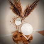 Maanlamp met Gedetailleerd 3D Ontwerp
