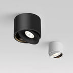 Plafondspot Met 360° Draaibare Lichtkop Voor Gerichte En Moderne Verlichting