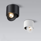 Plafondspot Met 360° Draaibare Lichtkop Voor Gerichte En Moderne Verlichting